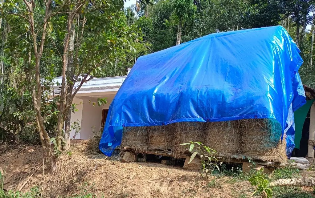 Factors to Consider When Choosing a Tarpaulin Sheet