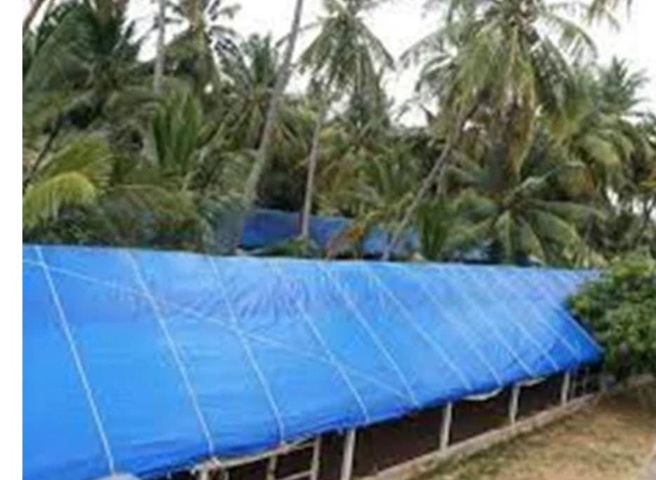 Tarpaulin Sheets for Cow Shed Roofs: Protection, Durability & Comfort