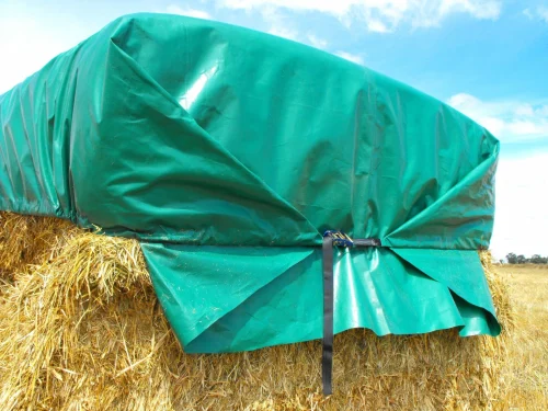 Tarpaulin Sheet Cost